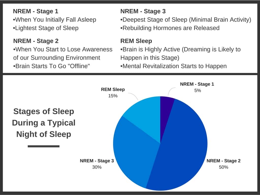 Rem Sleep Chart