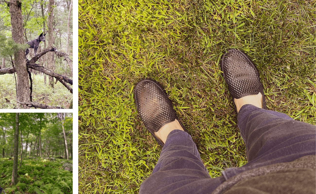 Mason with his Jet Black Royale's (aka fav woods exploring Jibs shoes!)