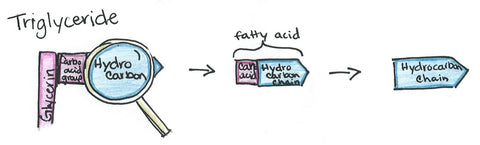 hydrocarbon chain