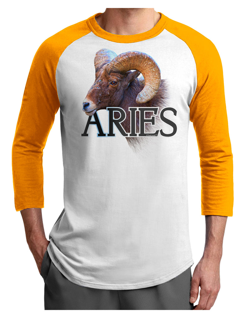 aries - 【M】ARIES / Colourblocked Raglan Tee（ロンT）の+