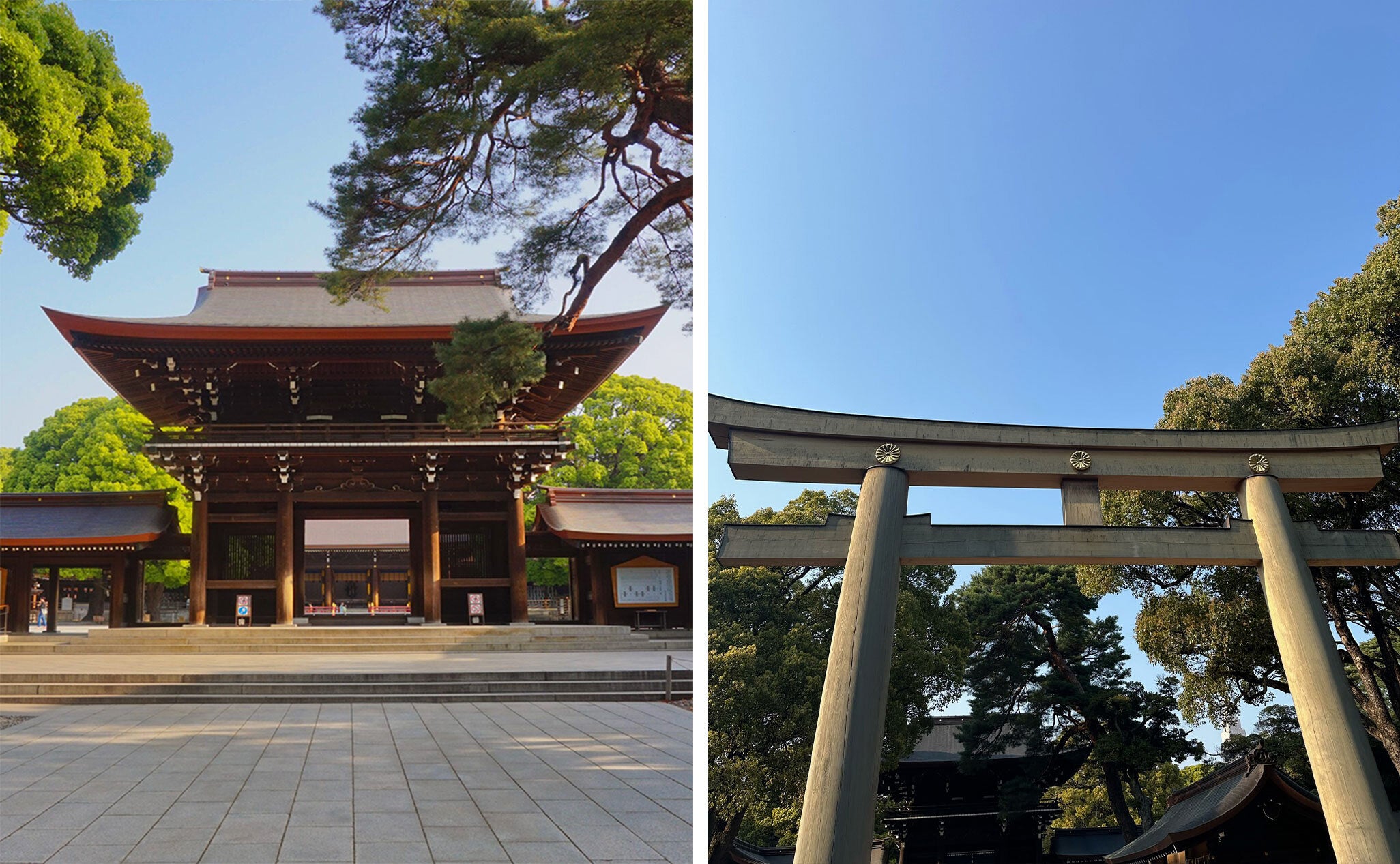 Meiji Shrine