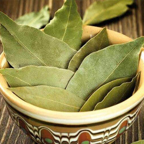 Bay leaves or tej pata has powerful benefits for diabetes