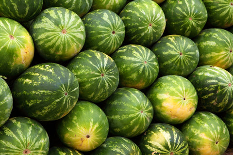 Watermelon­Sound Oracle’s Horror Kitchen Sound Effects