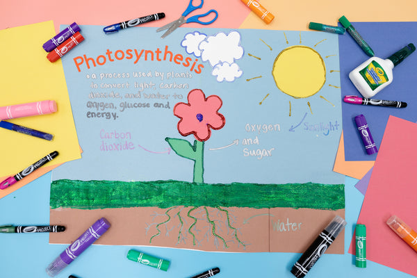 School Project, Crayola Project Photosynthesis Board