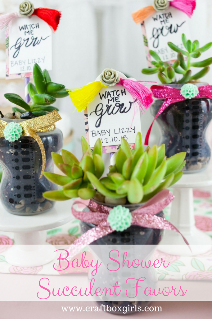 succulent party favors baby shower