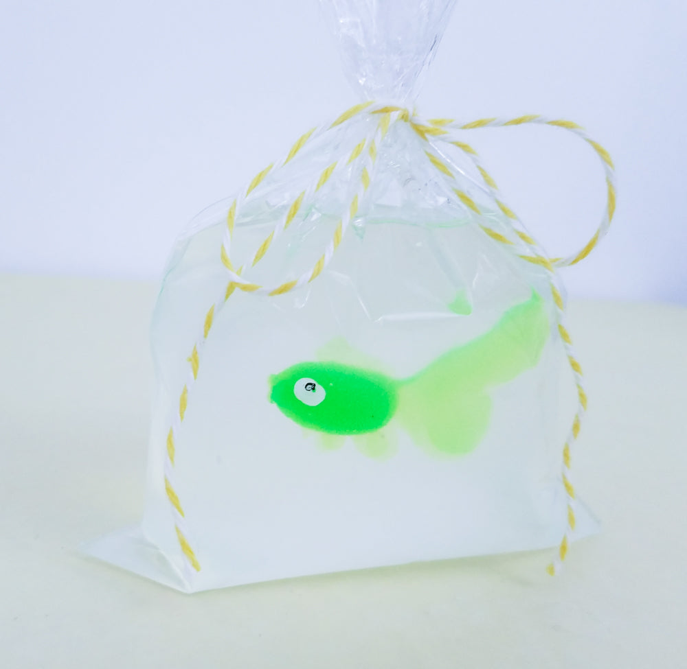 Fish Soap Fish in a Bag Soap Set of 10 Fish Party Favors Pirate