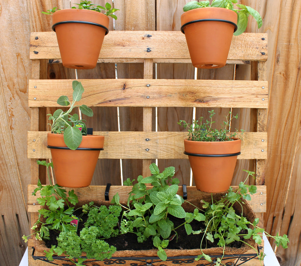 garden pallet 4