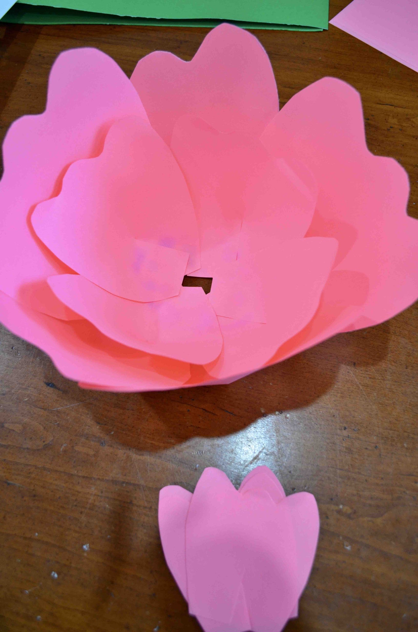 DIY Paper Flowers 