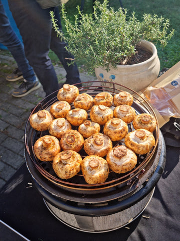 Pievagrybiai COBB grilis parukyti pamoka