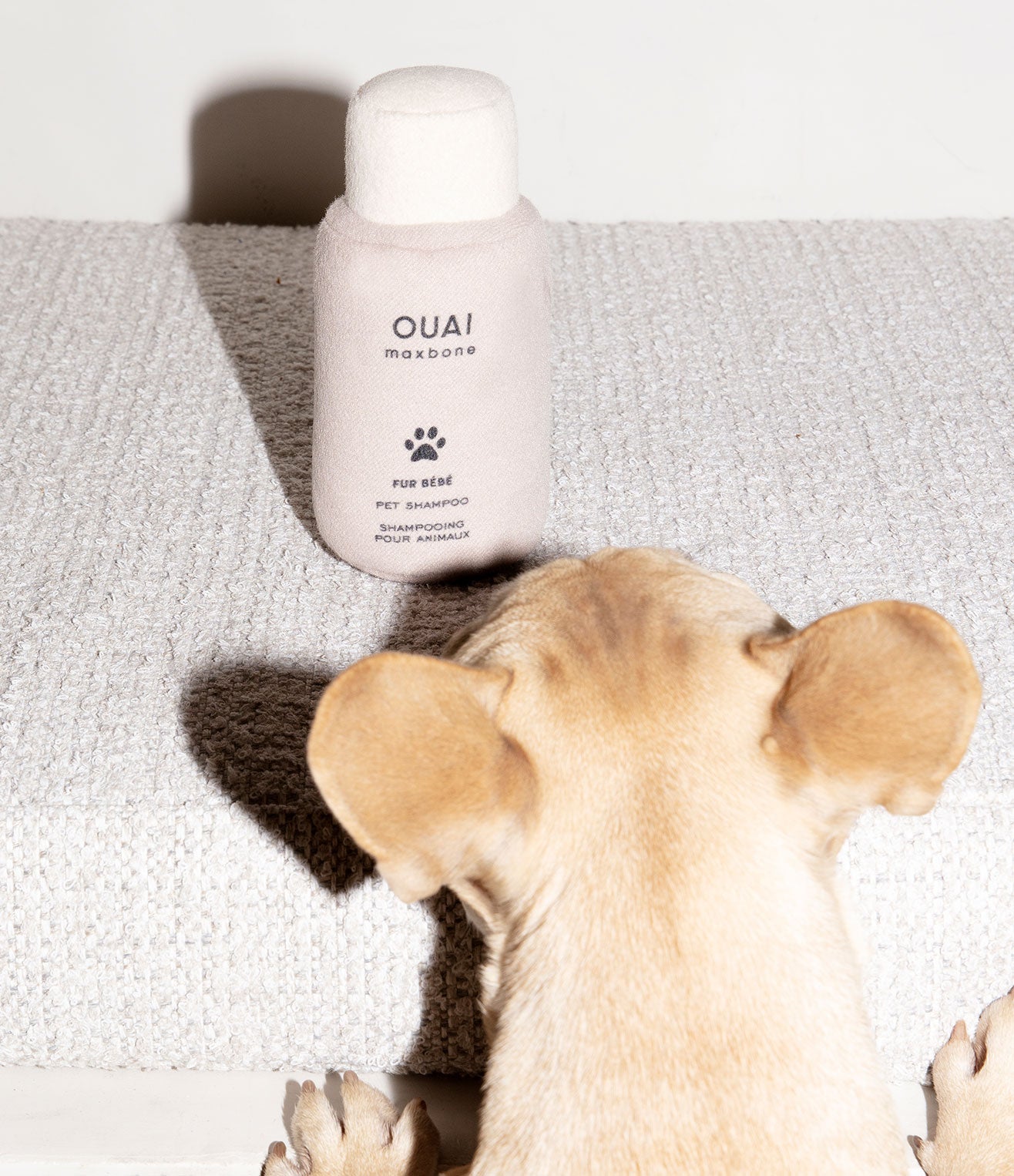 Maxbone X OUAI Dog Toy