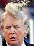Donald Trump comb over