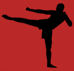 kickboxing silhouette