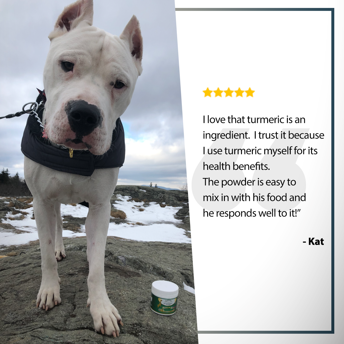 infinite pet supplement for dogs