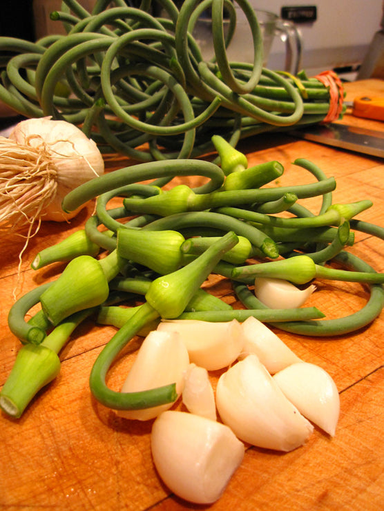 Green Garlic And Scapes Risotto Red Lion Organic Farms