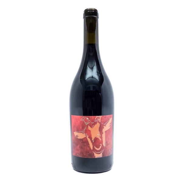 Bojo do Luar Vinho Tinto Deu Bode – Grain & Vine | Natural Wines, Rare ...