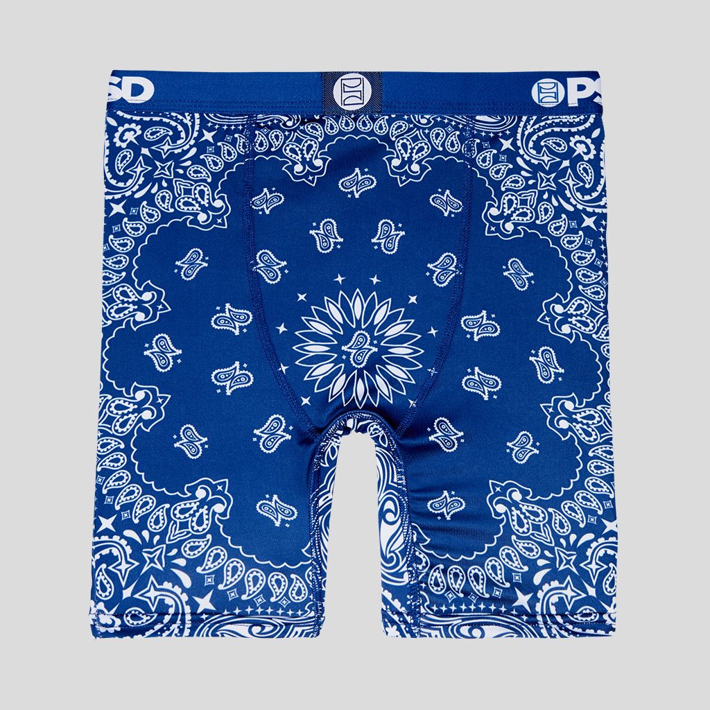Download Blue Bandana - Youth Boxer Brief Underwear - PSD Underwear