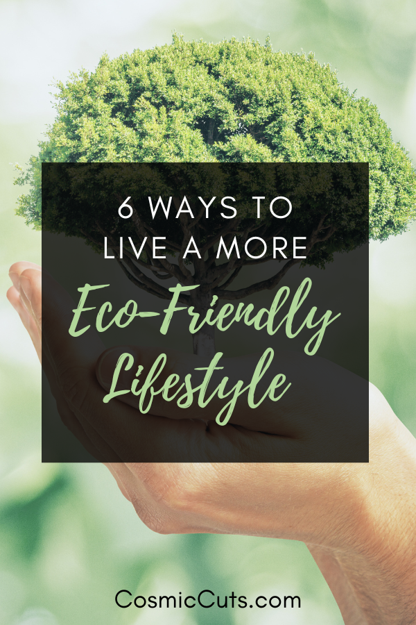 6 WAYS TO LIVE A MORE ECO-FRIENDLY LIFESTYLE