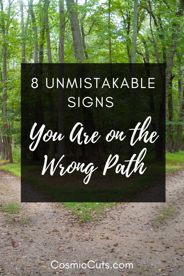 8 UNMISTAKABLE SIGNS YOU ARE ON THE WRONG PATH