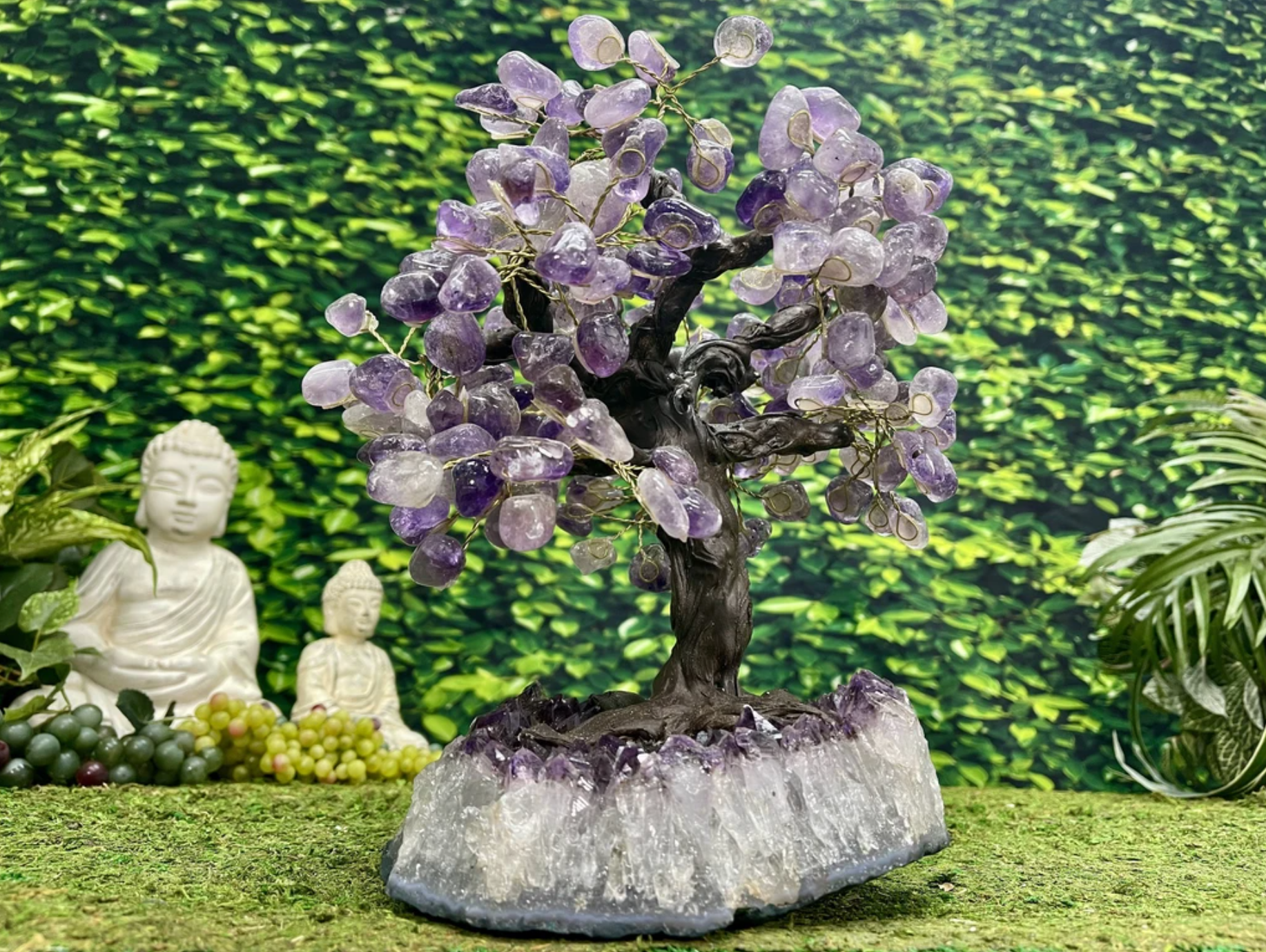 Amethyst Bonsai Tree
