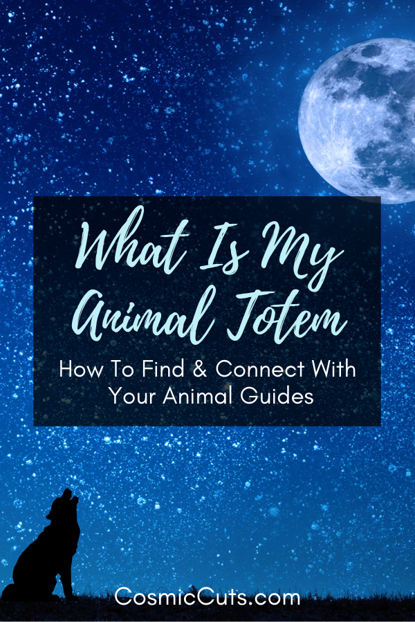 Animal Guide