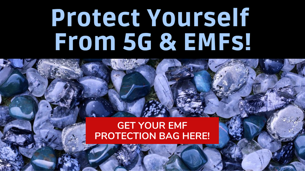 EMF Protection Bag
