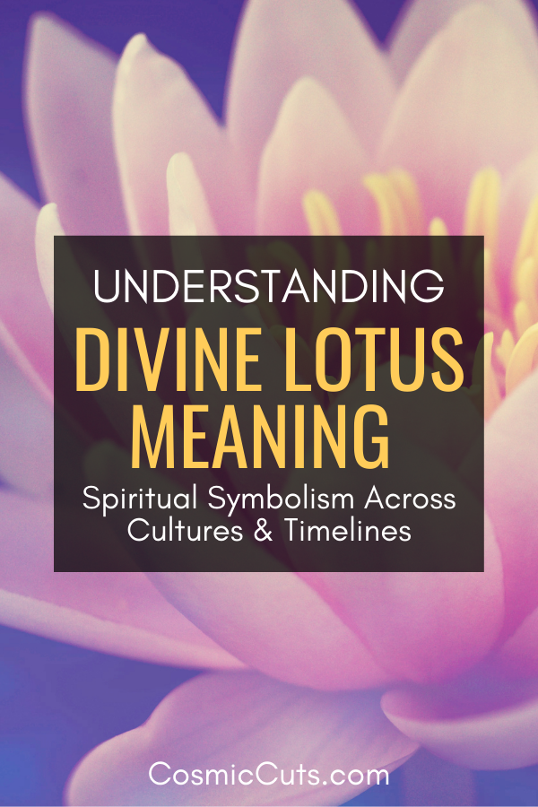 Divine Lotus Meaning