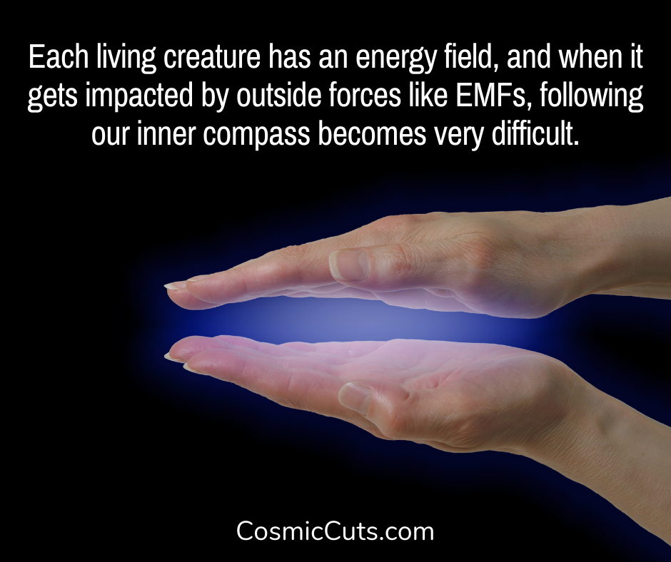 Human Energy Field & EMFs
