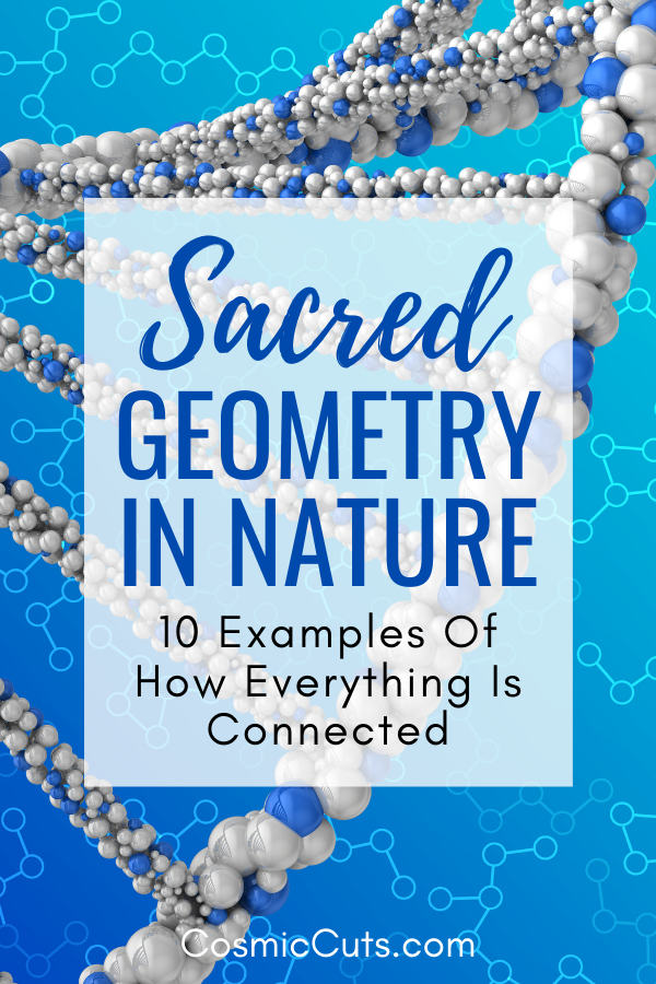 How Sacred Geometry Shows Up in Nature