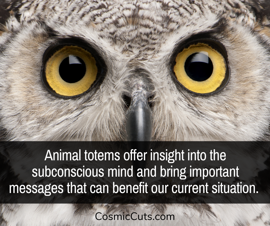 How to Find Your Animal Totem