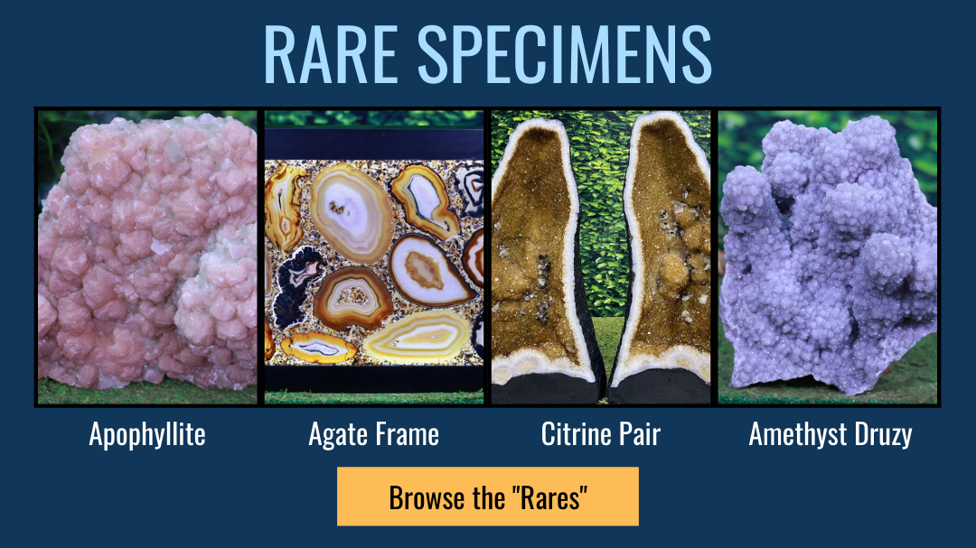 Rare Specimens