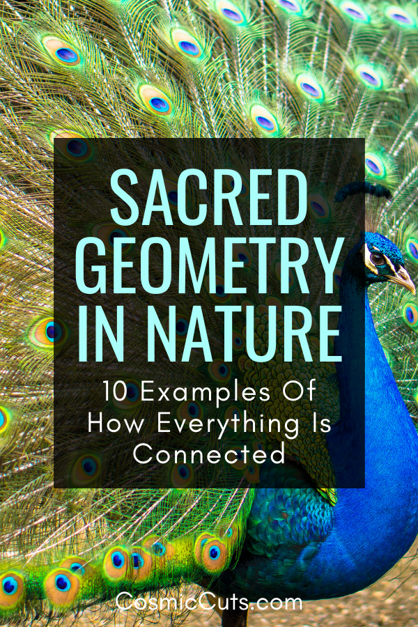 Sacred Geometry and Nature