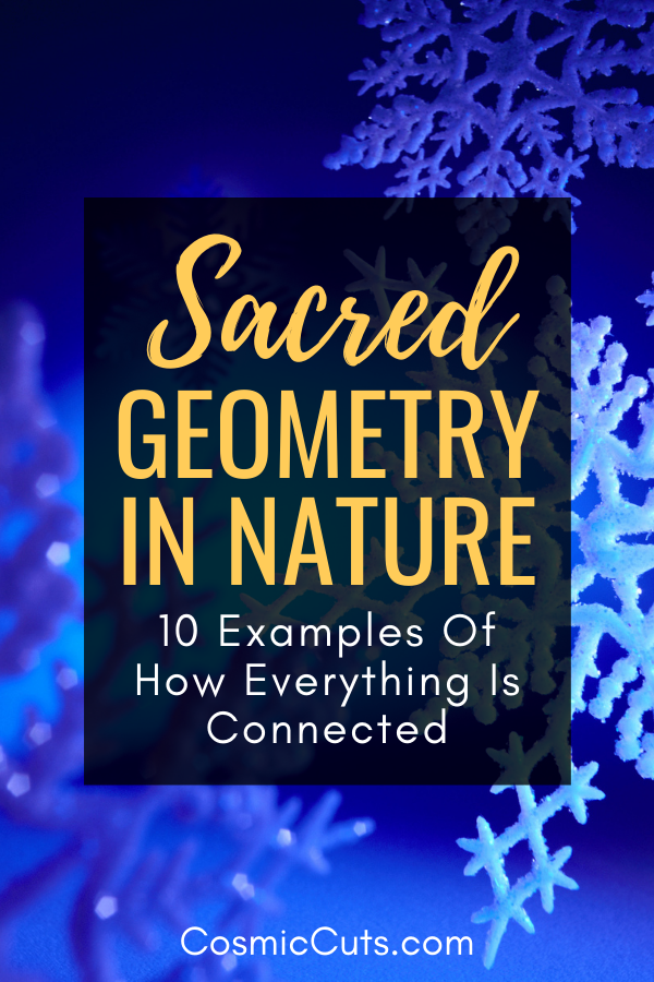 Sacred Geometry in Nature