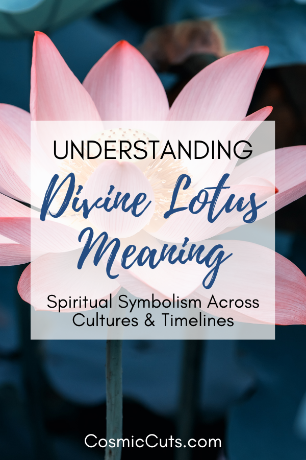 Understanding Lotus Meaning
