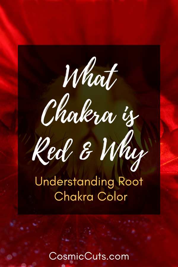 What Chakra is Red & Why