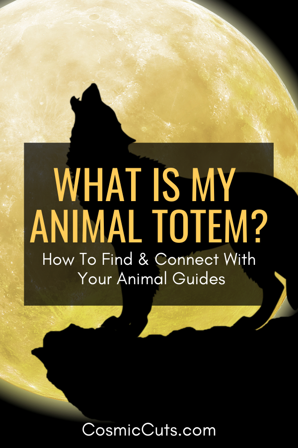 What is My Animal Totem