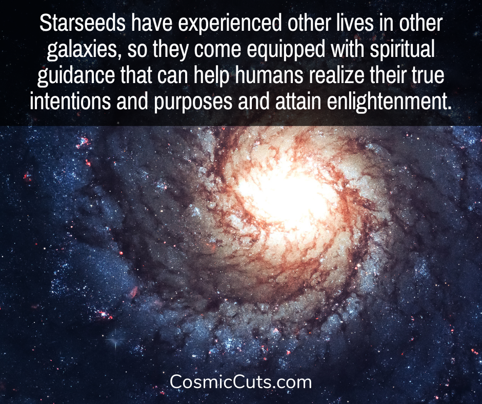 Where Starseeds Come From