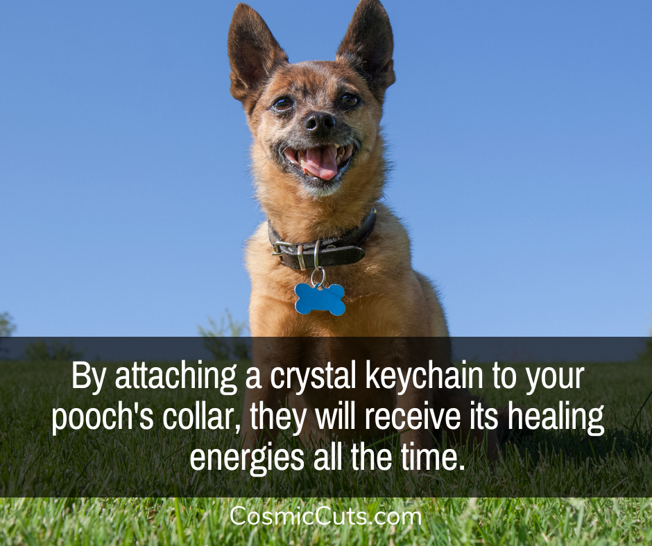 best crystals for dogs