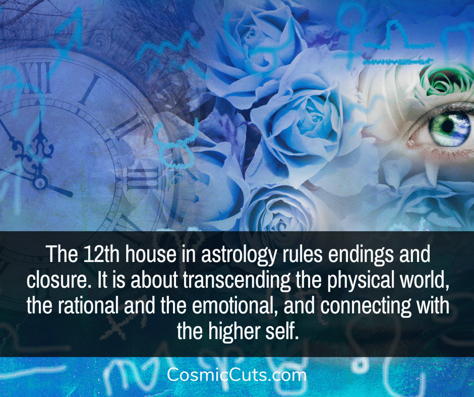 meaning of twelfth house in astrology