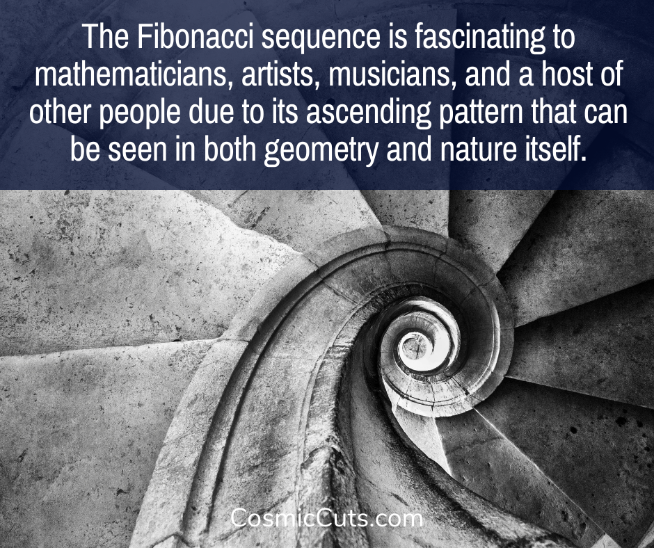 the Fibonacci sequence explained