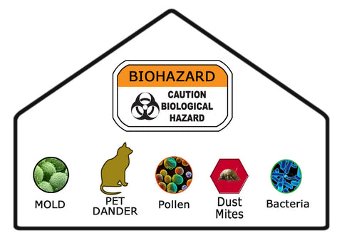 Common household allergens, molds and fungi that can be filtered from the air in your home