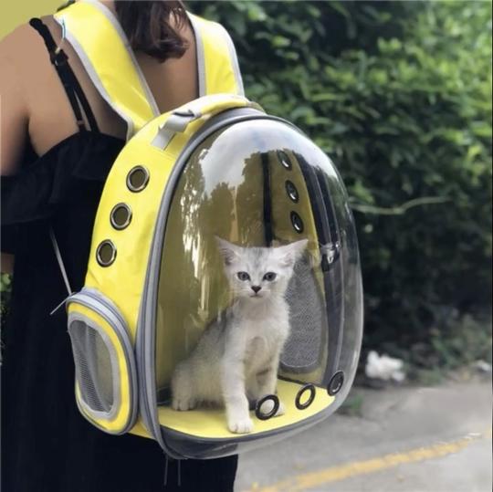 Pet Carrier Bubble Backpack – For Hula