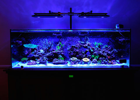 best led lighting for