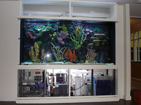 Aquarium Stand 5 Things You Need To Know Aquariumstoredepot