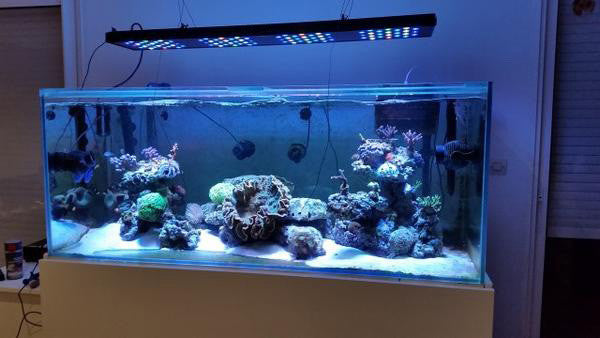 ASD LED Reef Lighting 48