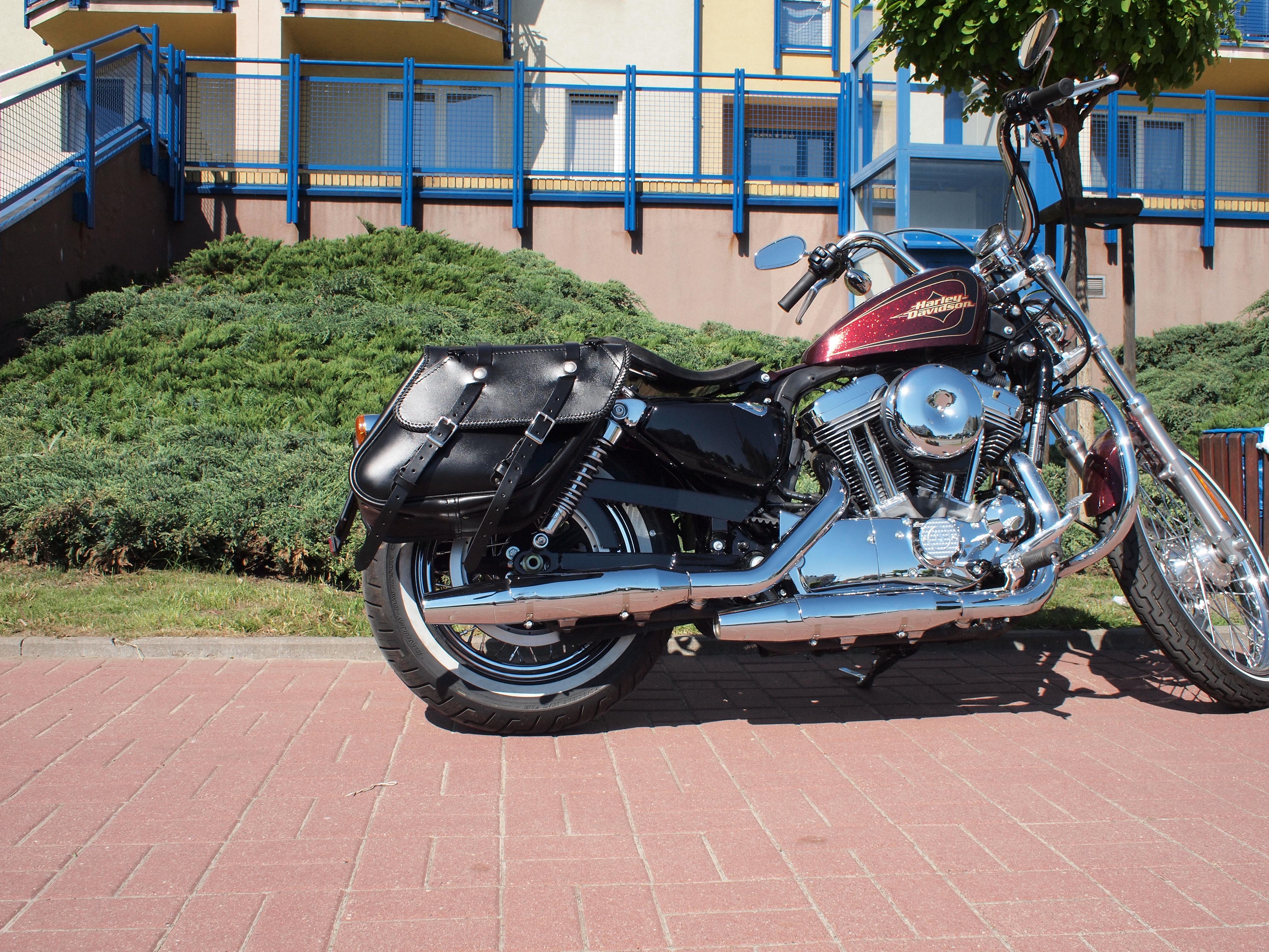 Solo Saddlebag Craftride for Harley Davidson India  Ubuy