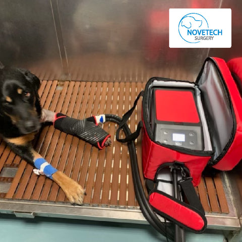 dog receiving cold compression treatment with CryoNov Compression Unit