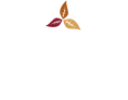 BnB Tobacco