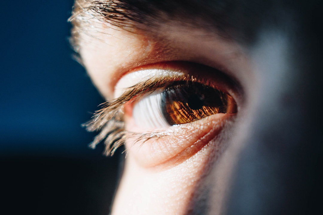 Close view of a brown eyed male