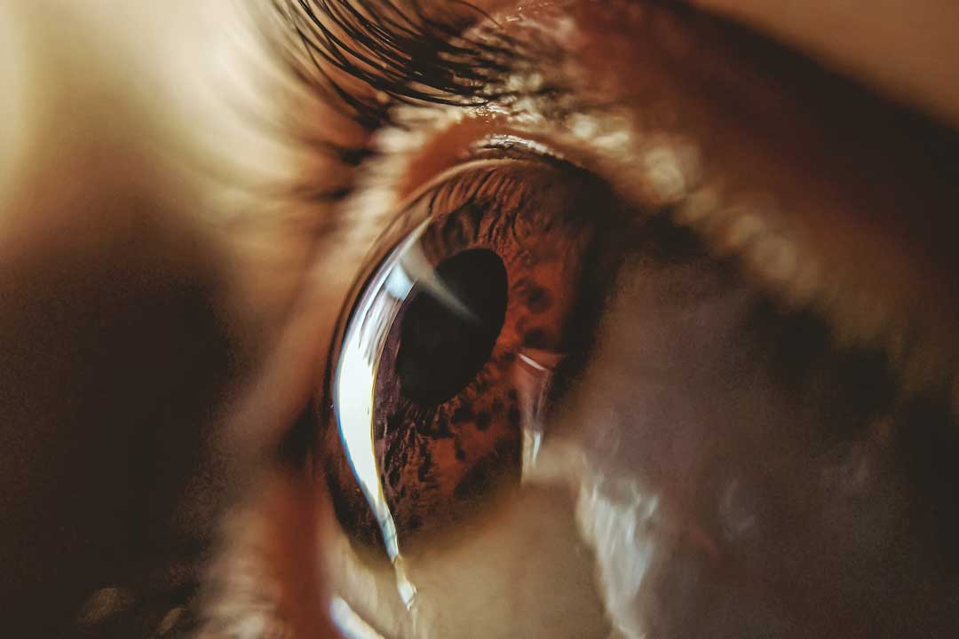 Very close view of brown human eye