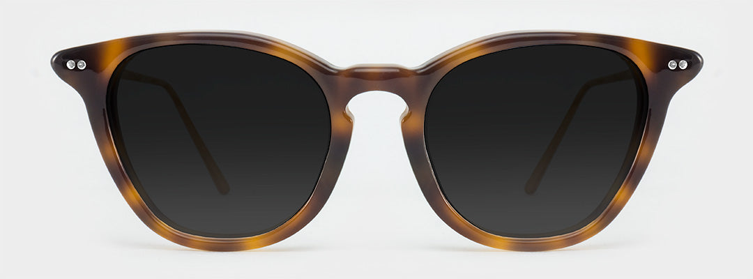 polarised tortoise shell sunglasses